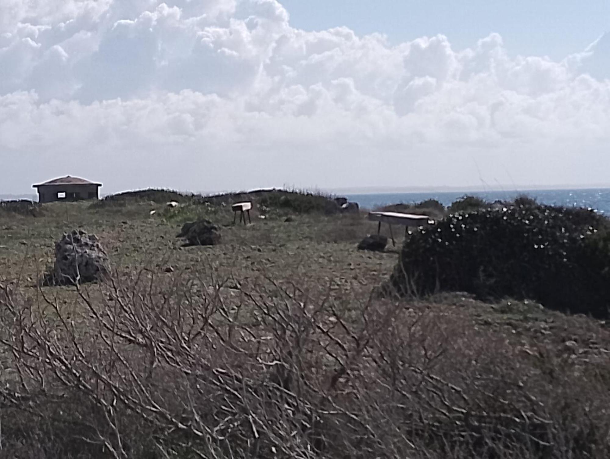 Punta Grossa Apartments By My Home Apulia Торе Лапило Екстериор снимка