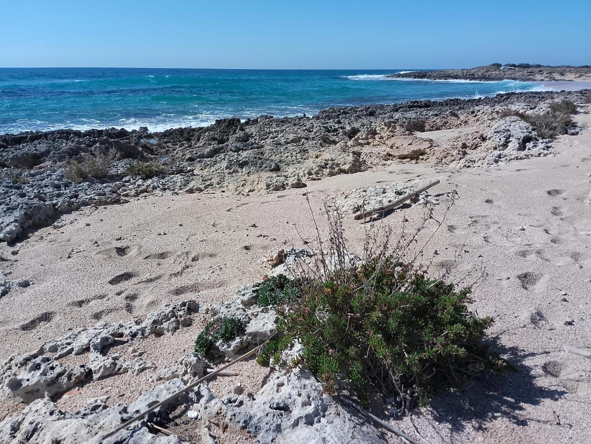 Punta Grossa Apartments By My Home Apulia Торе Лапило Екстериор снимка